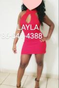 Layla love Miami Escorts 4